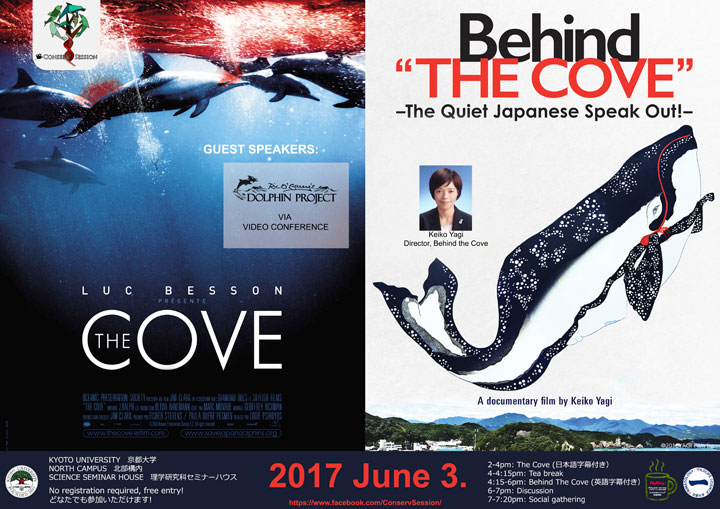 The Cove / Behind The Cove
