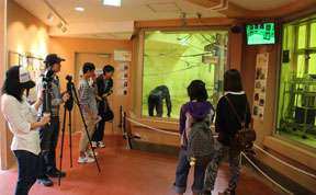 高大連携プロジェクト 動物園での継続観察